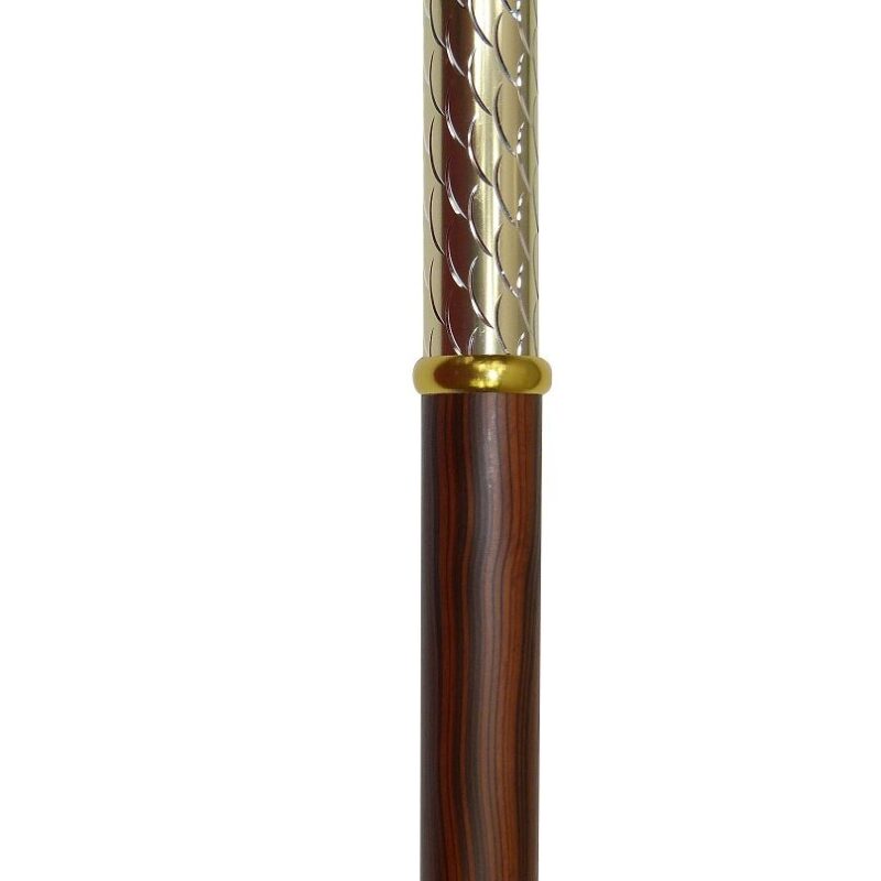 Canne de marche AQ678