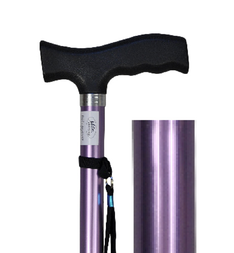 canne-alu-violet-aq032